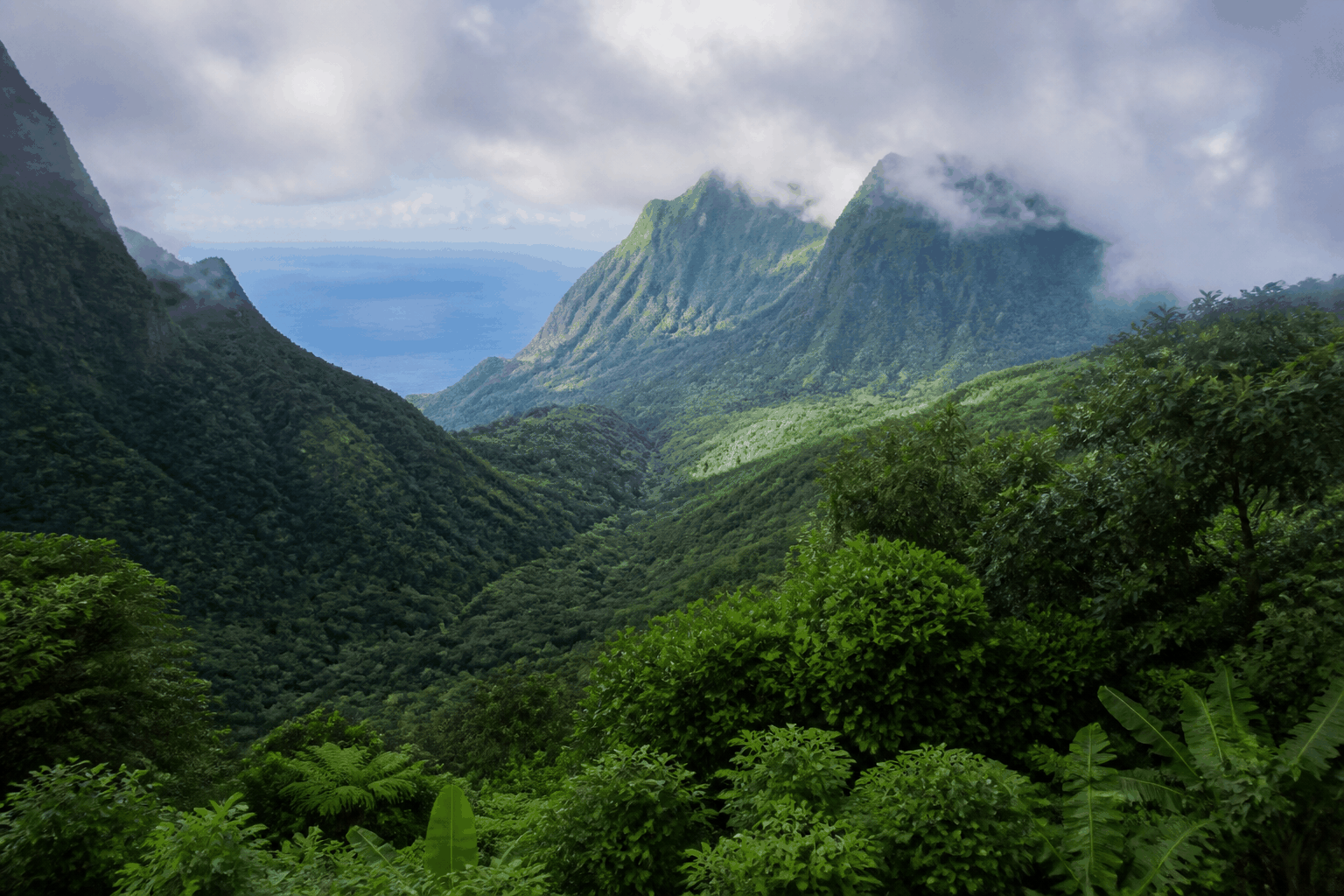 多米尼克热带雨林与火山山谷